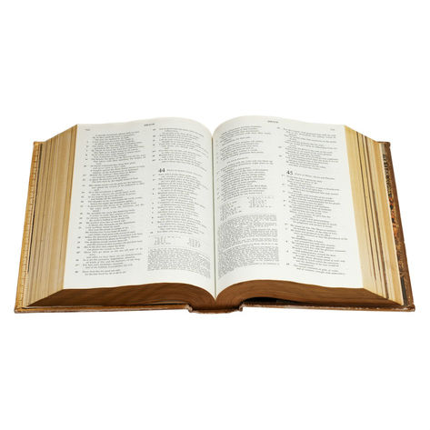 holy-bible-new